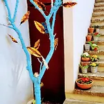 Rosa Center Apartman