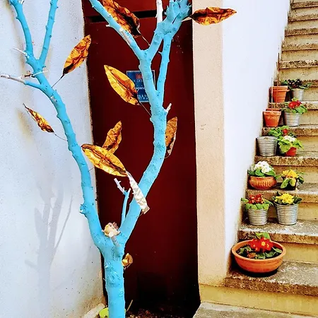 Rosa Center Lägenhet